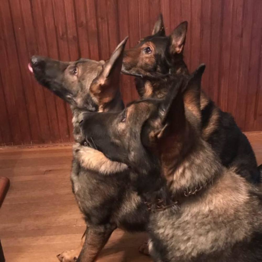 Meet your Posher, Teri